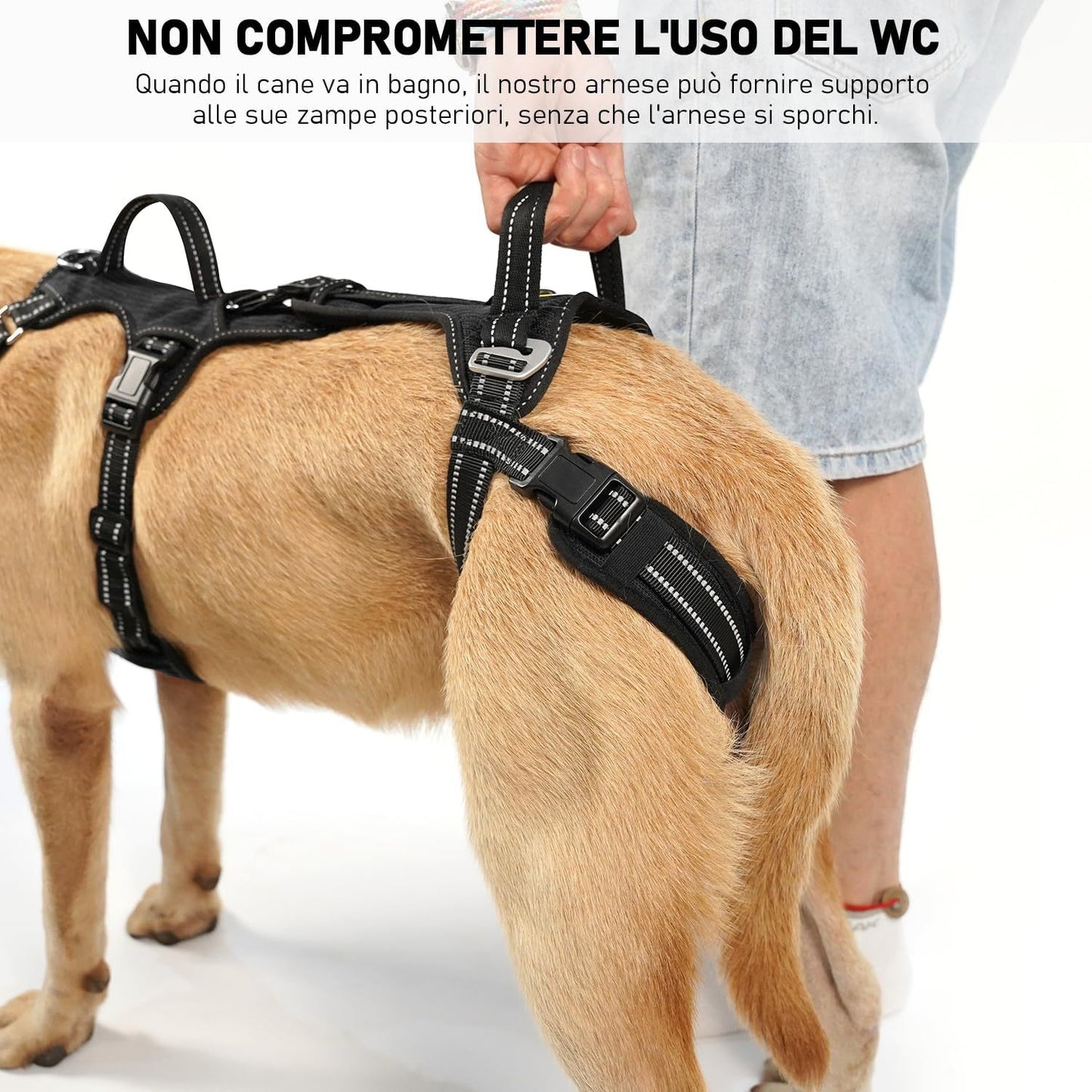 LebensSchritt - Die Ganzkörper-Mobilitätshilfe für Hunde