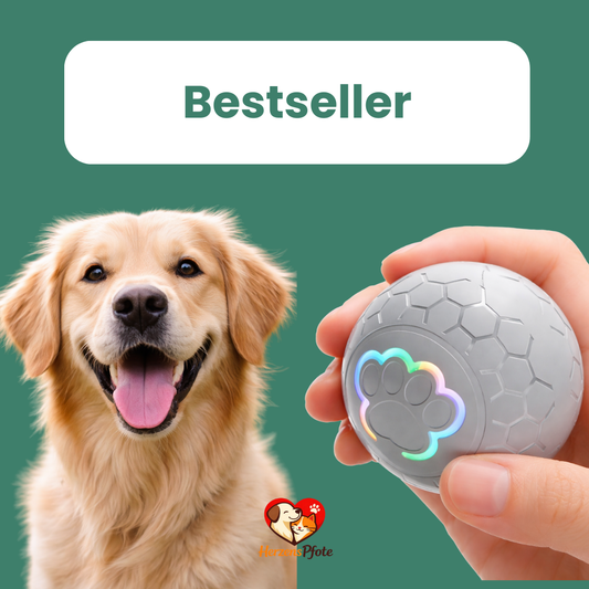Pfotenflitzer - Der interaktive Hundespielball