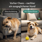 Pfotenflitzer - Für einen ruhigen & ausgeglichenen Hund