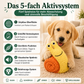 Schnuffi – Sinnvolle Beschäftigung für einen glücklicheren Hund