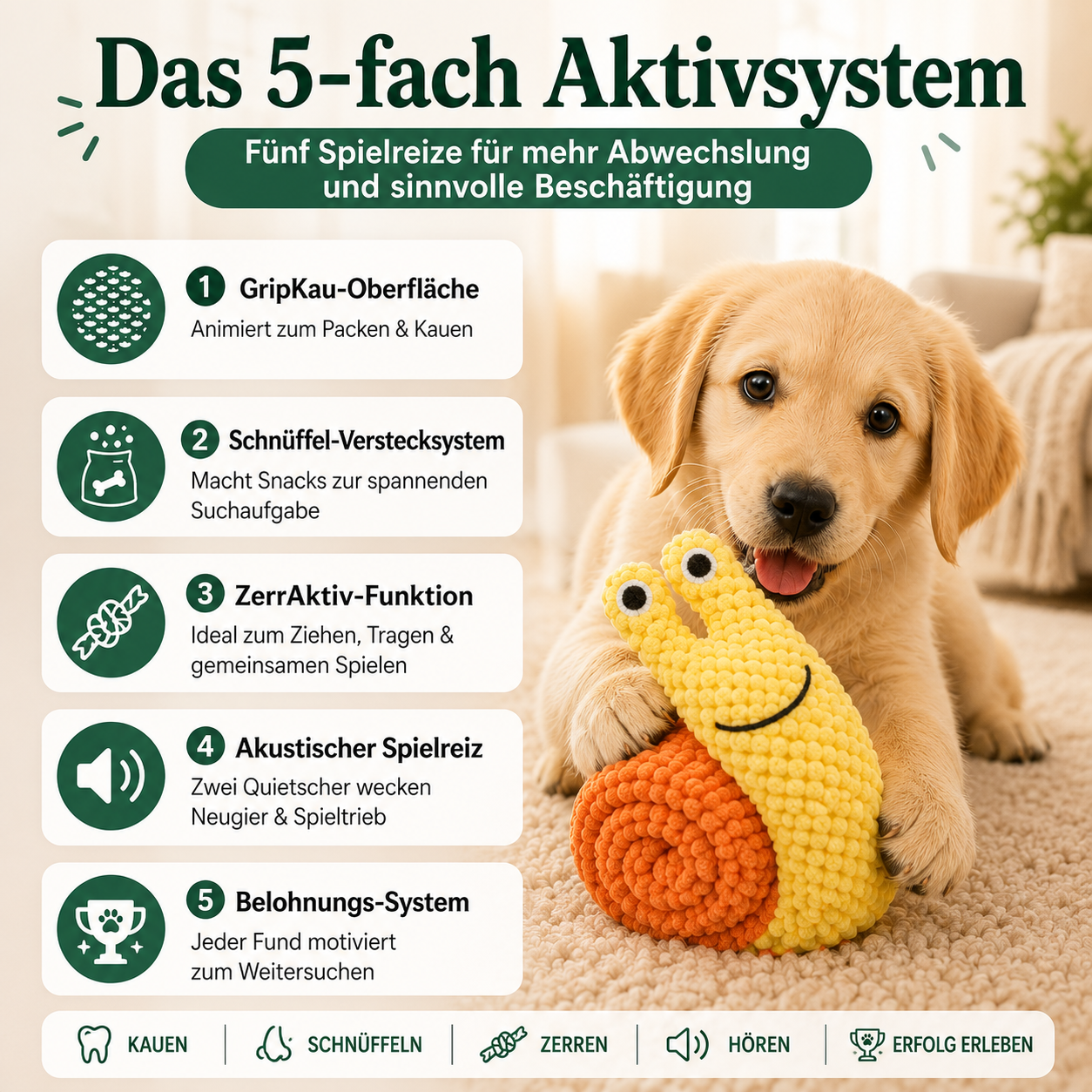 Schnuffi – Sinnvolle Beschäftigung für einen glücklicheren Hund