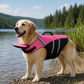 Sicherheits-Schwimmweste für Hunde