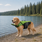 Sicherheits-Schwimmweste für Hunde