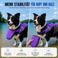 Sicherheits-Schwimmweste für Hunde