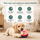 ZappelBuddy – das aktive Hundespielzeug gegen Langeweile