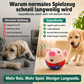 ZappelBuddy – das aktive Hundespielzeug gegen Langeweile