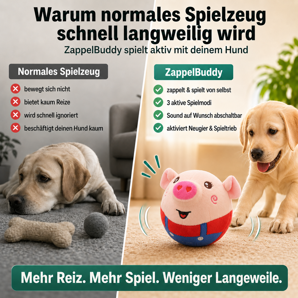 ZappelBuddy – das aktive Hundespielzeug gegen Langeweile