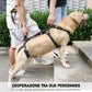 LebensSchritt - Die Ganzkörper-Mobilitätshilfe für Hunde