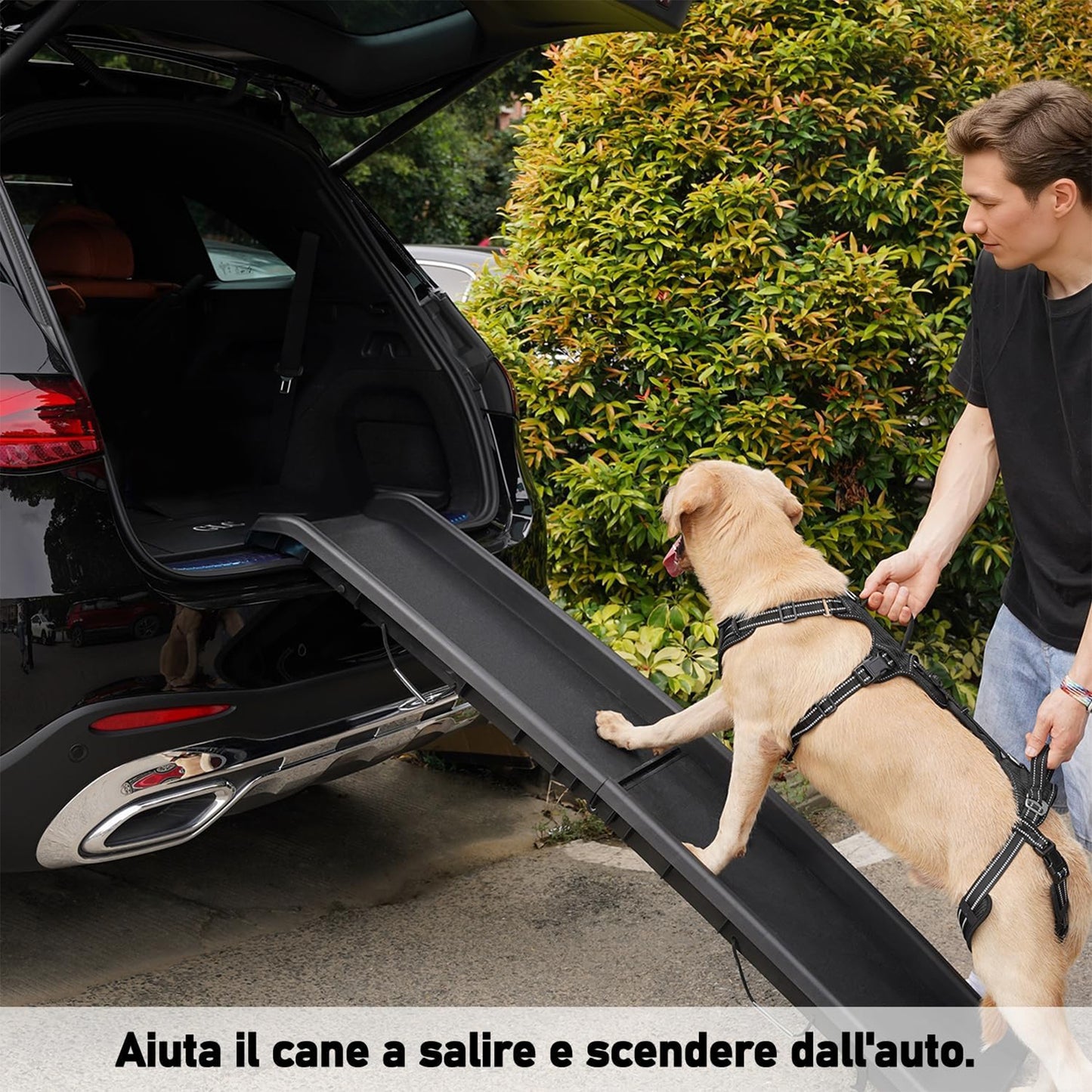 LebensSchritt - Die Ganzkörper-Mobilitätshilfe für Hunde